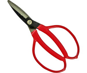 コンヨ 永吉 園芸鋏 1個 165mm