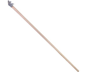 R ܘY u󕿁v L̕ tt 45x 1