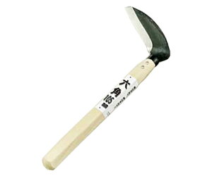 ؍H Zp@n|@l 1 #02205