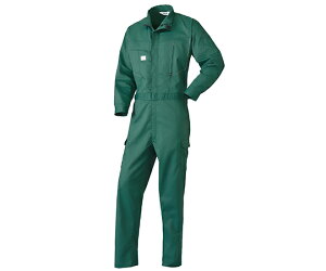 �R�c�C �Ȃ����@�O���[���@4L 1�� 1-2855-GR-4L