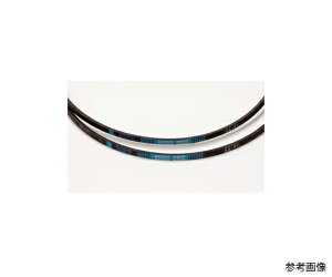 �o���h�[���w �_�@�p�X�[�p�[V�x���g�@W800 1�{ SB51