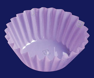  tWtBP[X6F@p[v 1(500×10{) 421100