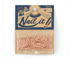 Y NAILITB#17×19@100{ܓ@ 1 NF10003