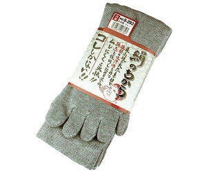 ӂ ̂@5{w@3g@O[ 1g(3) S-293