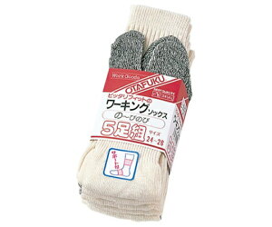 ӂ tBbg[LO\bNX@5giLi@^r^j 1g(5) #751