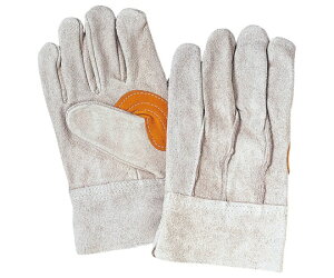 ӂ v܁@wDEew⋭^Cv 1o #450