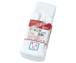 ӂ tBbg[LO\bNX@5gi^r^j 1g(5) 756