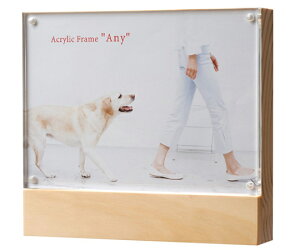  ANt[@Gj[@|Xg@i` 1 AE-PCNL