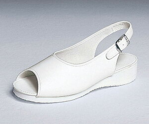 iKC[x U[T_ 24.5cm M1 1