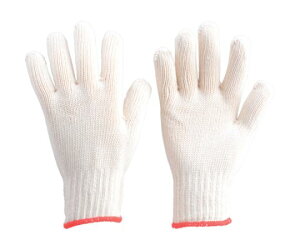 gXRR ȍƌR t[TCY DPM-JM 1g(12o)