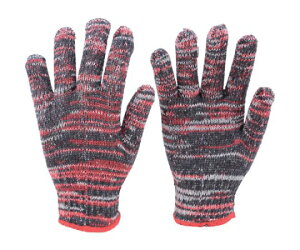 gXRR J-R@GFԁ@10o TGC-500-R 1g(10o)