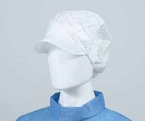 AITEX ѓdXΕt@Li200j CCAP-L-1 1P[X(10×20ܓ)