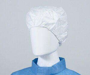 AITEX ѓdXΖ@Mi200j CCAP-BM-1 1P[X(10×20ܓ)