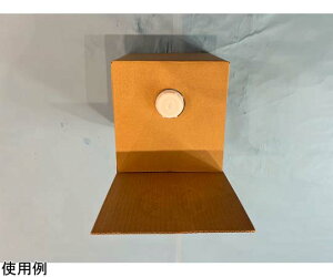 򐻖 GP[X5W XNGA 5Lp GP[X5W 1