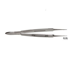 {tbcfBR `X[p[fP[gsZbg 11.5cm PHt Lb EF-2104 1{