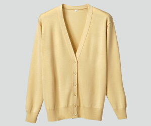 fB[tFCY RsJ[fBK CG[ 5L D1001 1