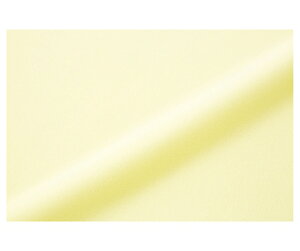 ケアファッション スムース防水シーツ(ダブル) クリーム 145×180cm 39152-01 1枚