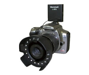 GOKO�J���� ���������Y LZ32P 1�Z�b�g