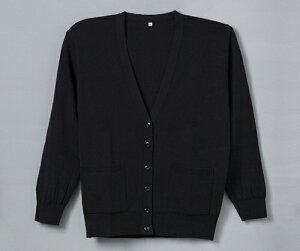 fB[tFCY Rs\|PtJ[fBK ubN M D-1011 1