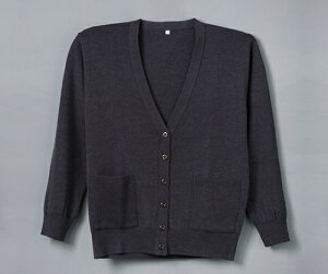 fB[tFCY Rs\|PtJ[fBK O[ L D-1011 1