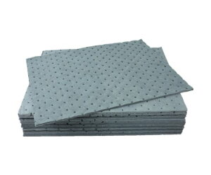 ~YWp zEpV[g 100 z66.2L/ 309050003 1(100)