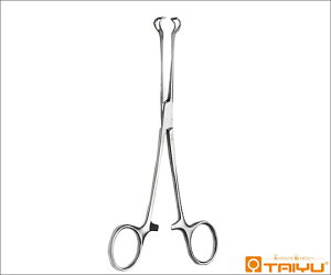 TAIYU�i��S��ȍH�Ɓj �o�u�R�b�N����q BOX �S��19cm TY-727L 1�{