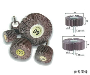 rbvH ttbv #60 FR60-06 1(10{)