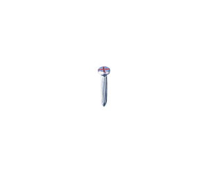 STS ʗplC 100{ NO.2 1(100{)