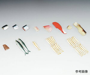 CCTv t[hf() ꂢ15g 4-159 1
