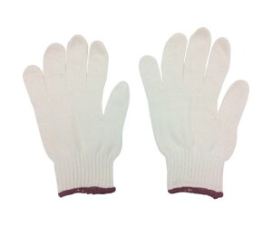 ~^jR[|[V VmR 2{҂݁iMTCYj 202397 1g(12o)