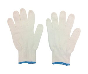 ~^jR[|[V VmR 2{҂݁iLTCYj 202398 1g(12o)