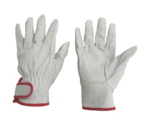 ~^jR[|[V #195u^W[i3ojMTCY 209613 1g(3o)