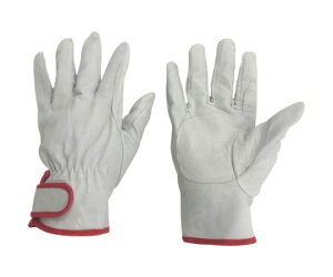 ~^jR[|[V #195u^W[i3ojLLTCY 209615 1g(3o)