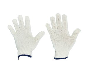 gXRR ȌR@240o܂Ƃߔ@ڕt600g TCG600-240P 1(240o)