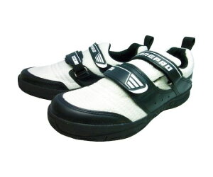 iS v2@zCg@27.0 V1300W-27.0 1