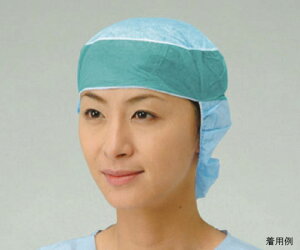 fBebNWp T[WJLbv(㕔S^Cv) SC-1 1P[X(50×8)