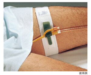 �f�C���E�J�e�[�e���z���_�[�@���p�@10�{�� H84103301 ���D