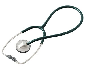 PcfBR No.132@eB[GXtHlbg@n^[O[ 1