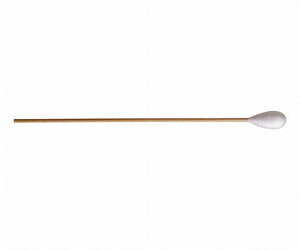 \ fBJȖ_@1510W@5{×25ܓ@ŋۍ 20018 1(5{×25ܓ)