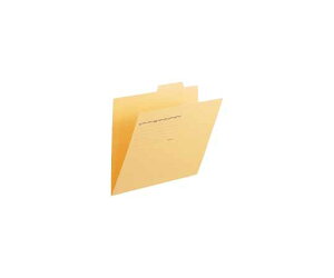 �v���X �ʃt�H���_�[�@A4E�@�C�G���[�@100�� FL-061IF YL100 1��(100����)