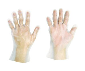 �F�s�{���� �|��DT�G���{�X�w�i��@SS LPE0190WE-TB SS 1��(100����)