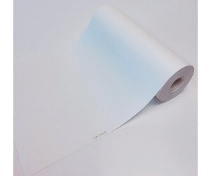 ���΂� ��Ôėp�L�^���@��112mm×��20m�i���[���^�E���n�E�\�����j�@20���� CP-112-2 1��(20����)