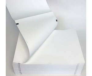 ΂ Sd}L^@210mm×300m/295mmi܂݌^Ej@2 CP-623-300 1(2)