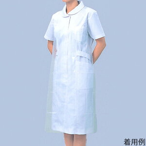 | |Ճrj[Gv@Ȃ@M@50 076383 1(1×50ܓ)