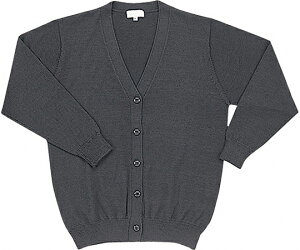 WHISELidj J[fBK@O[@S WH90019 1