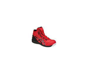 AVbNX EBWuCP304 BOA NVbNbh×ubN 25.0cm 1271A030.600-25.0 1