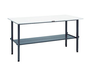 gXRR AEM^Ƒ@1800X900@I2t@DGF AEM-1809LT2 DG 1