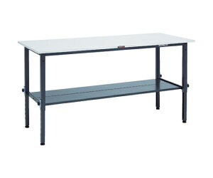 gXRR RAEM^Ƒ@1800X750@I2t@DGF RAEM-1800LT2 DG 1