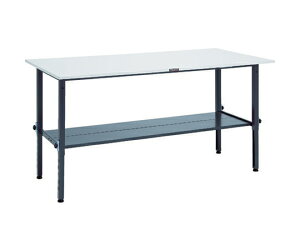 gXRR RAEM^Ƒ@1800X900@I2t@DGF RAEM-1809LT2 DG 1