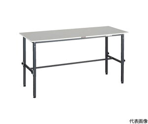 gXRR RAEM2^ߍƑ@RoHS2ΉV@1800X600@DGF RAEM2-1860DG 1